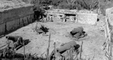 Japanese invasion of the Philippines 1941-1942 (Battle of Bataan, Battle of Corregidor, Bataan Death March, etc.)